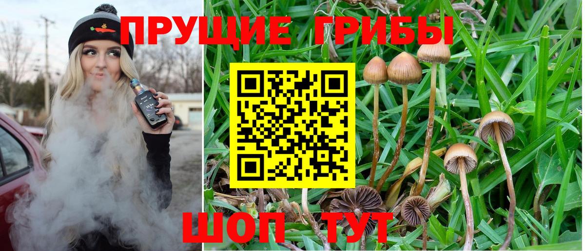 Галлюциногенные грибы Magic Shrooms  Вход с VPN  Удомля 
